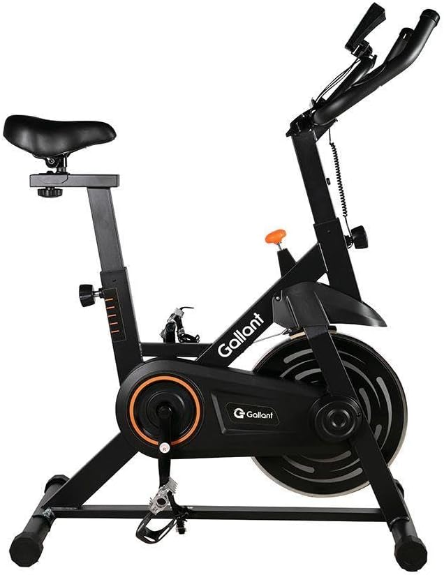GALLANT Bicicleta Ergométrica Gallant Elite X Spinning ｜ GSB08HBTA-PT